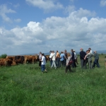 Kovászna 2013